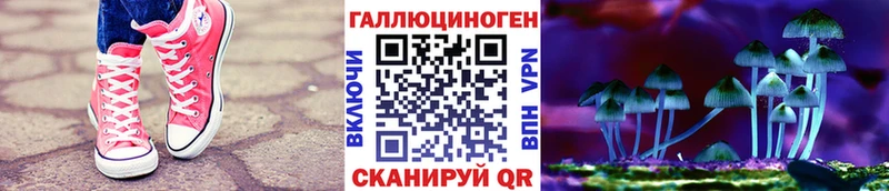 что такое   Белозерск  hydra как зайти  Псилоцибиновые грибы Magic Shrooms 